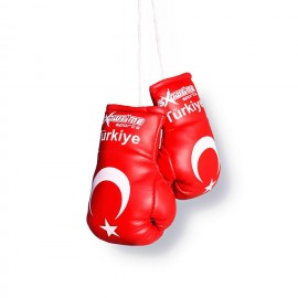 Paar Mini Boxhandschuhe Türkei für Auto Innenspiegel Turkey Kunstleder Geschenk 