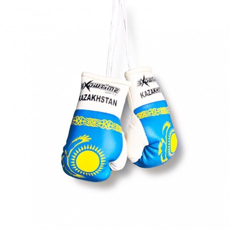 Mini Boxhandschuhe Kasachstan Flagge